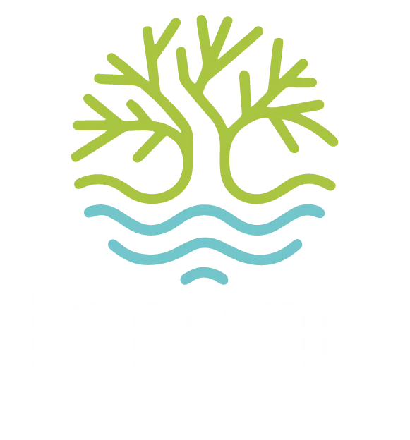 logo palo de agua